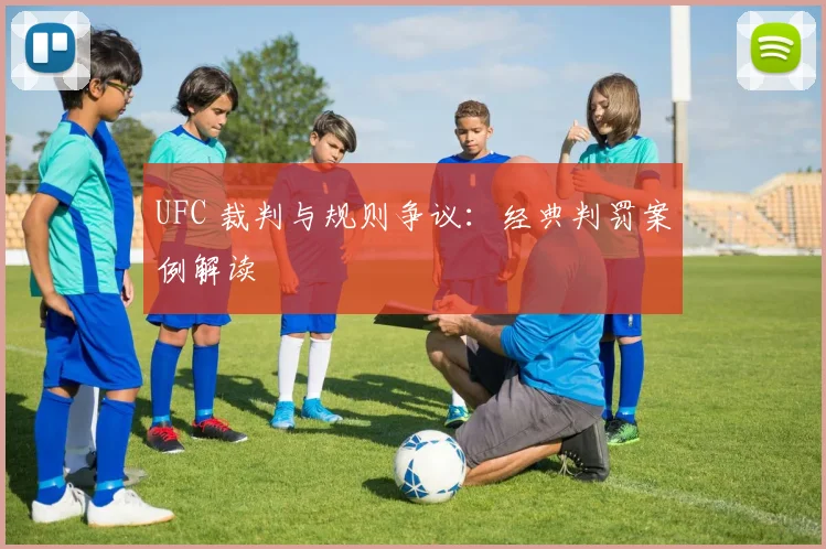 UFC 裁判与规则争议:经典判罚案例解读