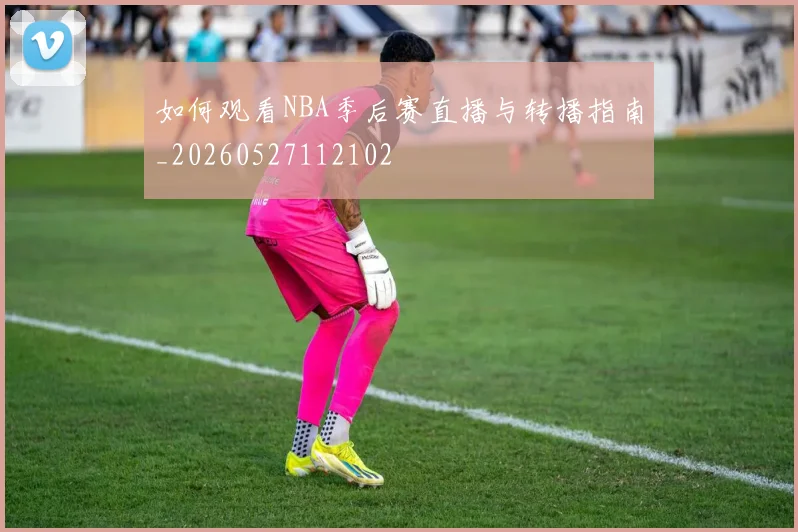 如何观看NBA季后赛直播与转播指南_20260527112102